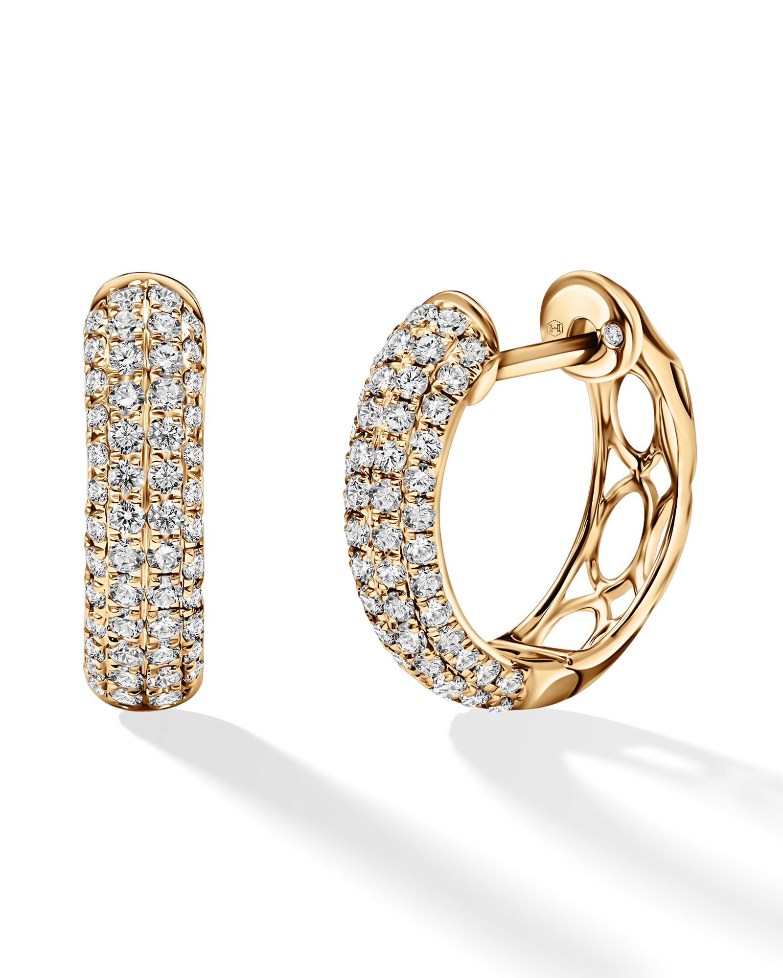 Radiant Beauty Hoops