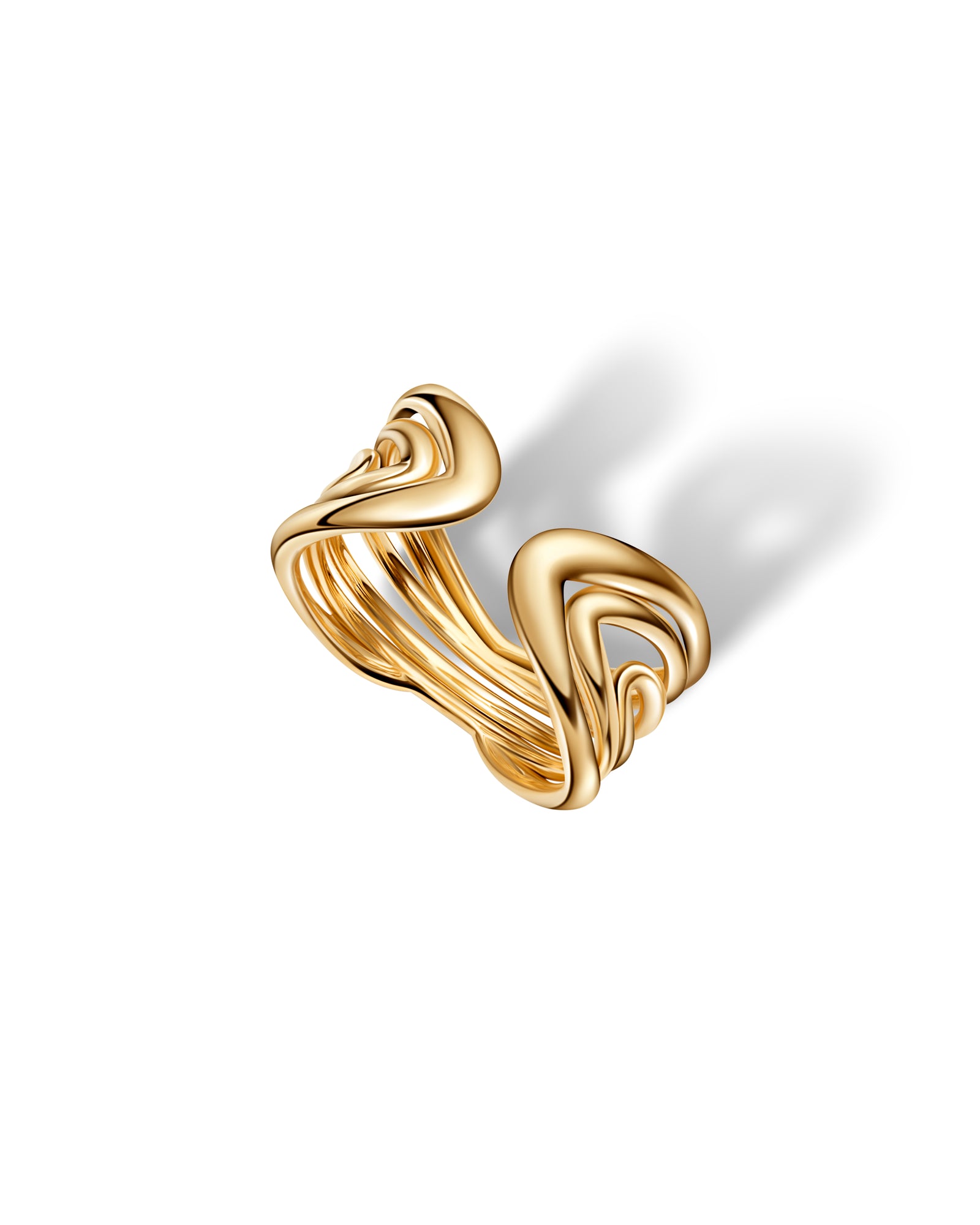 Der Ring mit dem komplizierten Motiv