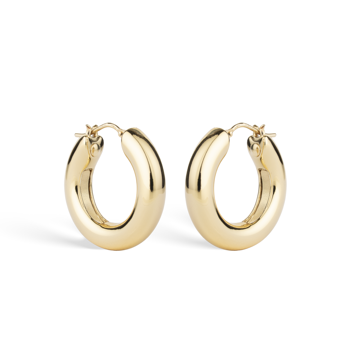 Hoops Thick Earrings