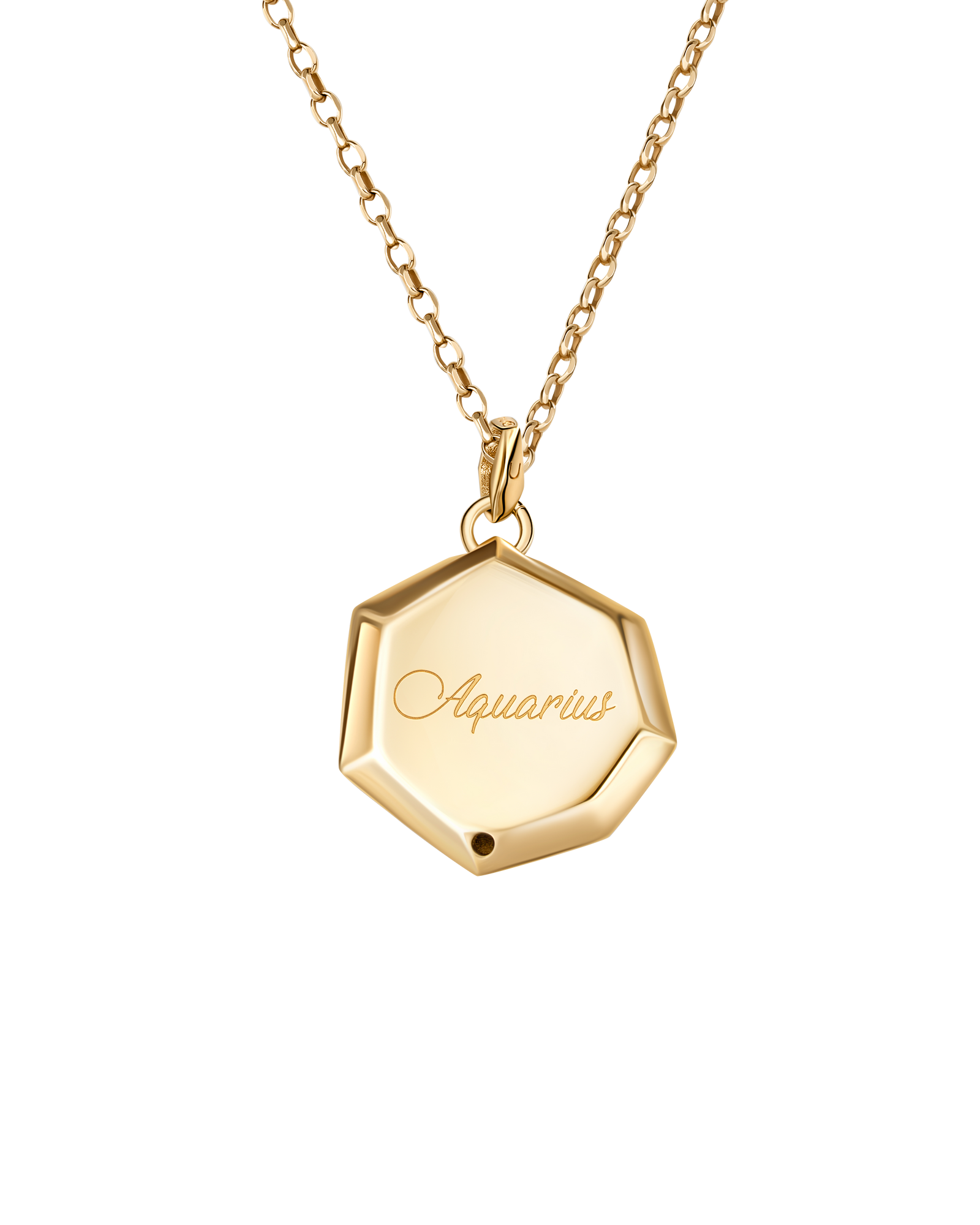 Aquarius Natural Diamonds Pendant [PREORDER ONLY]