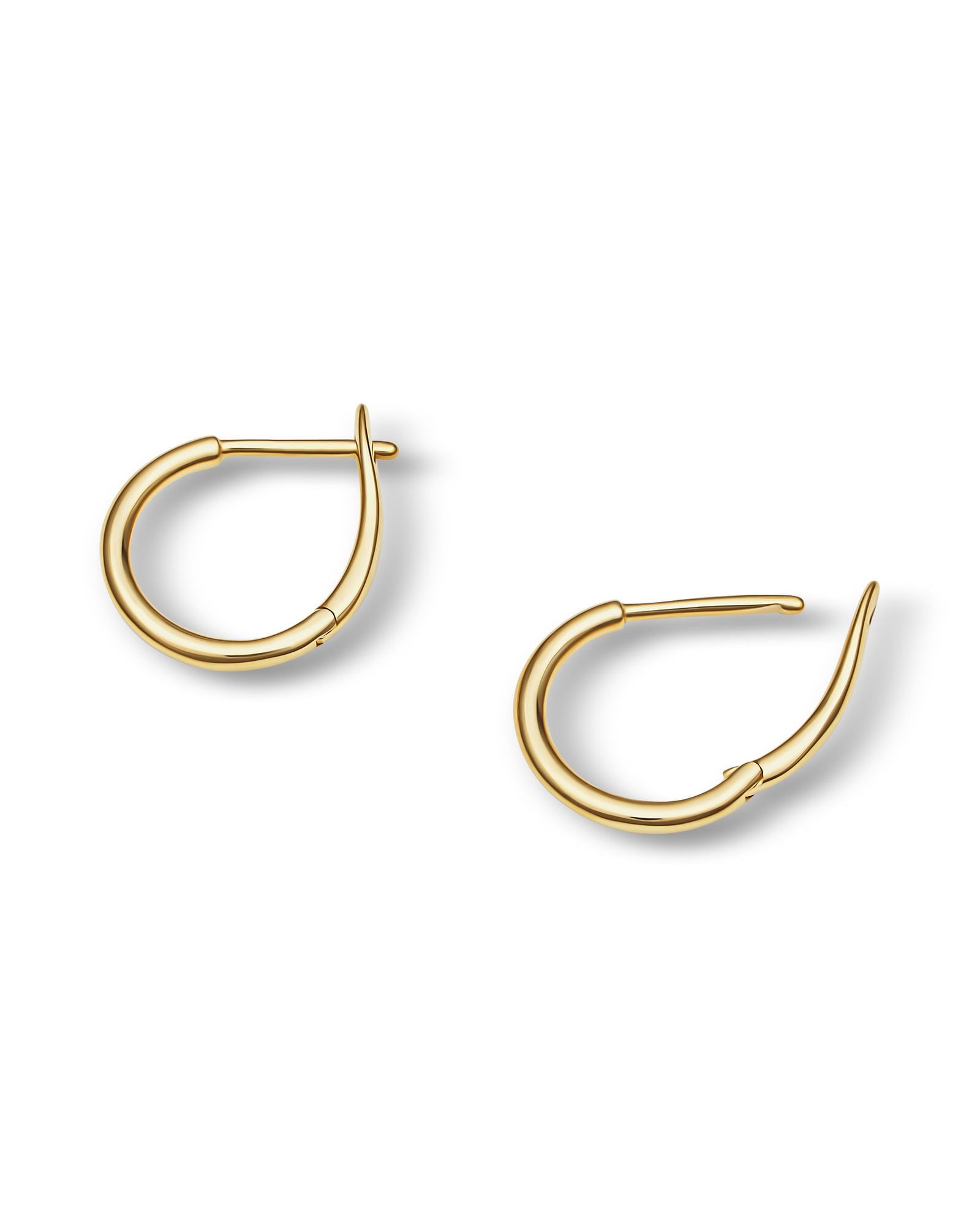 Bold Splendour Hoops