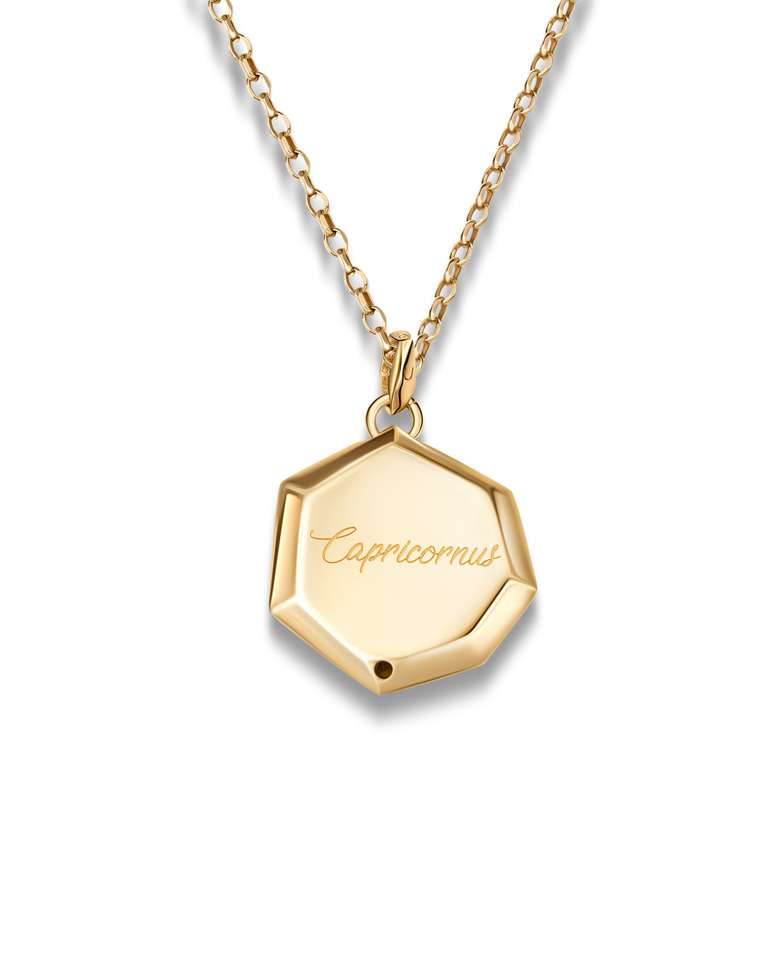 Capricornus Lab Grown Diamonds Pendant