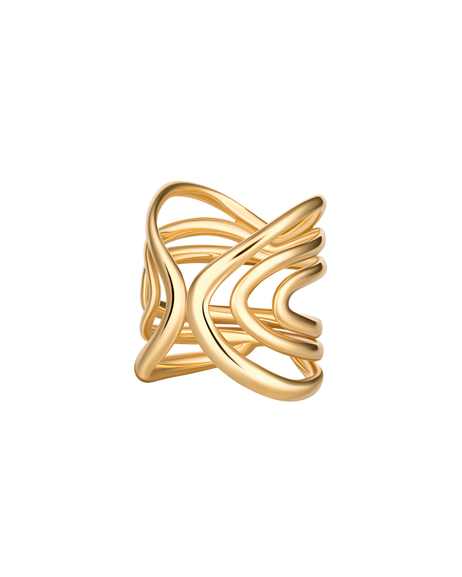 The Double Band Ring